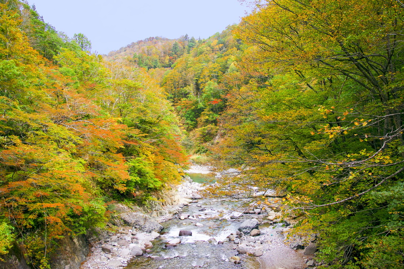 outdoors, trail, leaf, tranquil scene, mountain, tree, japan, akiyama township, no people, niigata, change, beauty in nature, 5K, water, forest, autumnal leaves