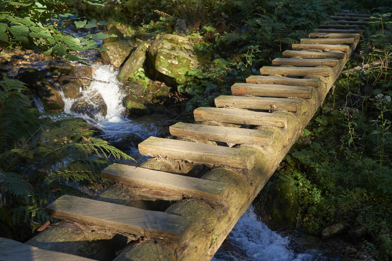 creek, motion, high angle view, ferrata, built structure, 4K, in the morning, solid, nature, waterfalls, plant, wood - material, day, flowing water, slovakia