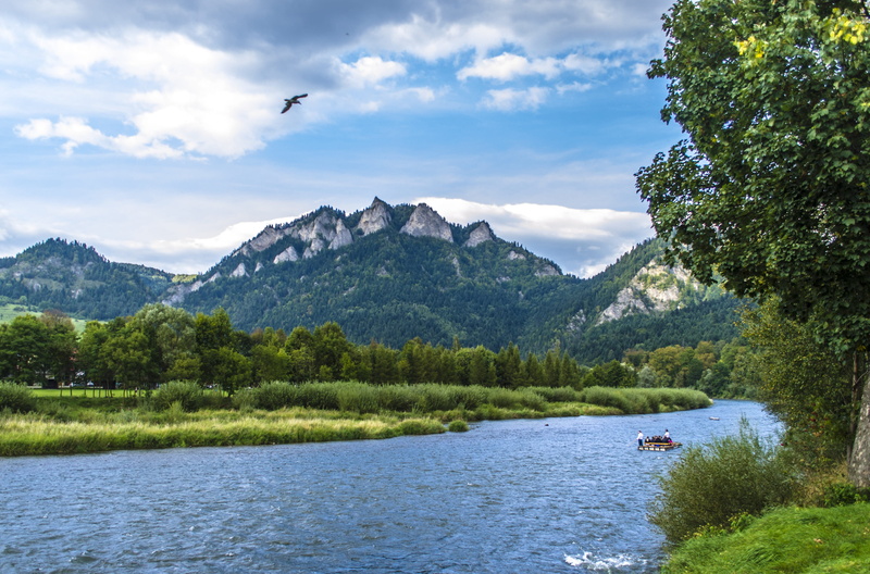 sky, tree, vertebrate, non-urban scene, mountain river, day, cloud - sky, cover, mountain, scenics - nature, tranquility, stream, mountain landscape, river