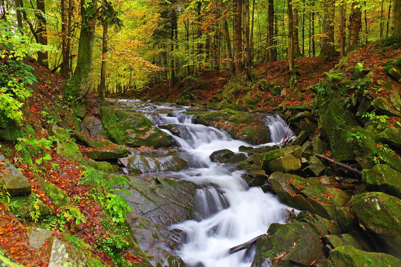tree, no people, cascade, scenics - nature, flowing water, solid, landscape, holidays, bieszczady, tranquil scene, forest, motion, tranquility, poland