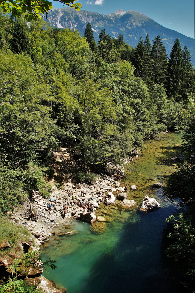 clear water, natural attractions, torrent, river, tourism, plant, tranquil scene, nature, julian alps, growth, tree, solid, flowing water, stream - flowing water