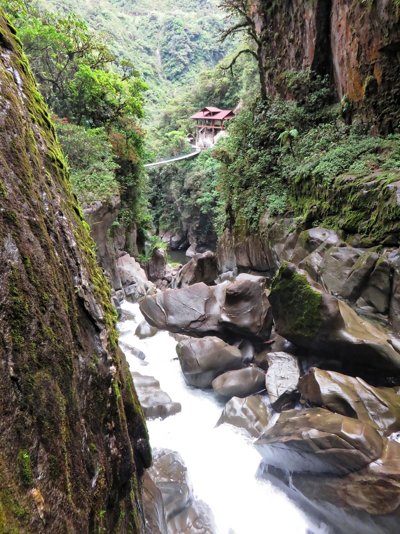 tree, mountain, rock - Object, tranquility, scenics - nature, plant, non-urban scene, scenics, ravine, nature, rock formation, river, water, flowing Water