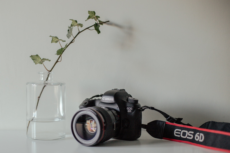 indoors, camera, nature, blossom, ornament, gray, pottery, black, jar, camera - photographic equipment, animal, eos, d, strap, display, camera lens, wheel