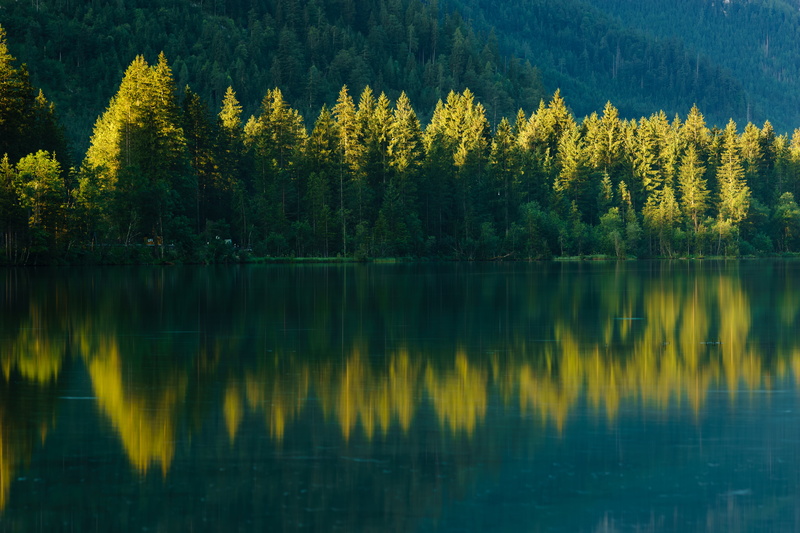 body, Urlaub, woodland, tree, landscape, Licht, Bäume, near, Hintersee, Trees, Bavaria, reflection, Holiday, Berchtesgadener Land, Bayern, Alps  Mountains