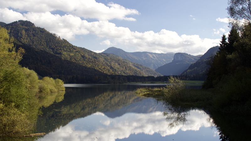 lakeside, plant, mountain, lake, water, tranquil scene, clear water, outdoors, reflection, tree, faistenau, mountain range, non-urban scene, nature, salzburger land