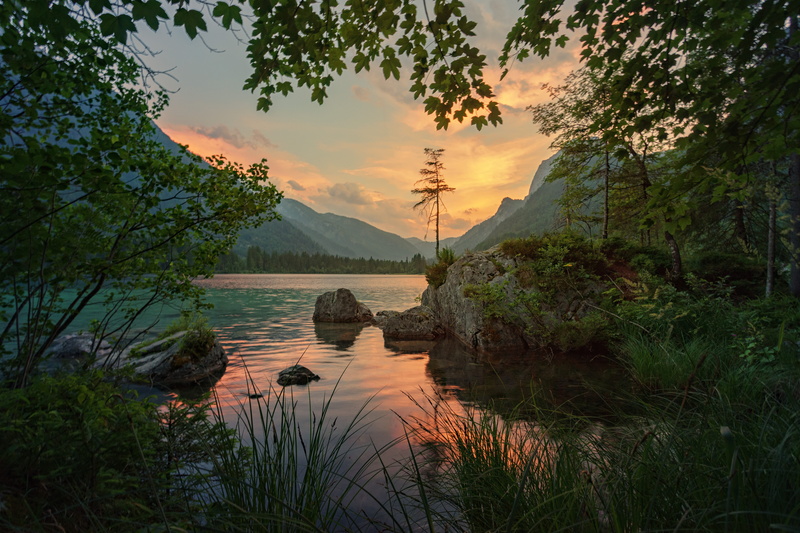 scenics - nature, mirroring, idyllic, growth, alpine, waters, beauty in nature, ramsau, 5K, hintersee, cloud - sky, sky, water, tree, plant, outdoors