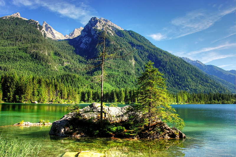 alpine, bavaria, rock, green color, day, summer, 2K, forest, tranquil scene, vacations, ramsau, berchtesgaden, coniferous tree, pine woodland, panorama