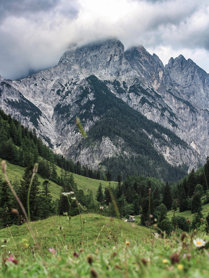 mountain peak, ice, snowcapped mountain, scenics - nature, conifer, environment, vegetation, pine, tranquility, mountain range, hiking, hintersee, tree