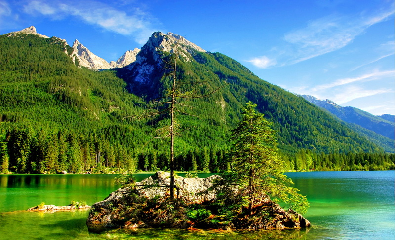 pine woodland, trees, summer, clouds, leisure, pine tree, alps, beauty in nature, mood, nature, plant, day, non-urban scene, mountain peak, scenics - nature