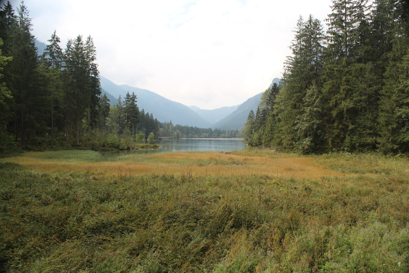 environment, idyllic, bavaria, grass, growth, land, lakeside, plant, no people, sky, non-urban scene, forest, mountain, scenics - nature, 5K, tranquil scene