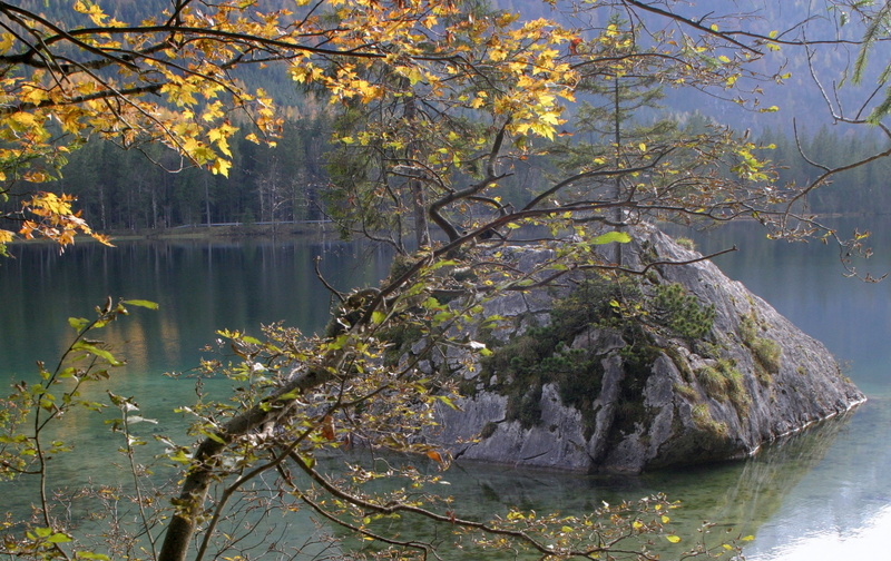 non-urban scene, mood, autumn, hintersee, upper bavaria, mountains, nature, reflection, tranquil scene, branch, leaves, ramsau, day, tranquility, panorama