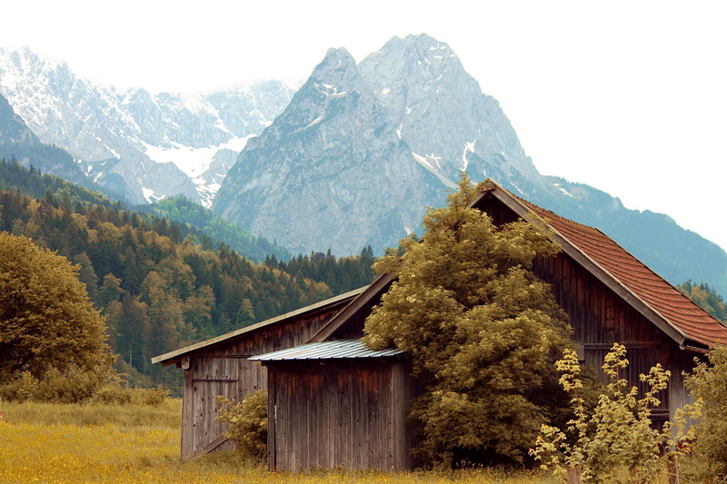 pasture, building exterior, outdoors, non-urban scene, alpine pointed, day, tranquility, plant, outlook, tranquil scene, food hut, garmisch partenkirchen