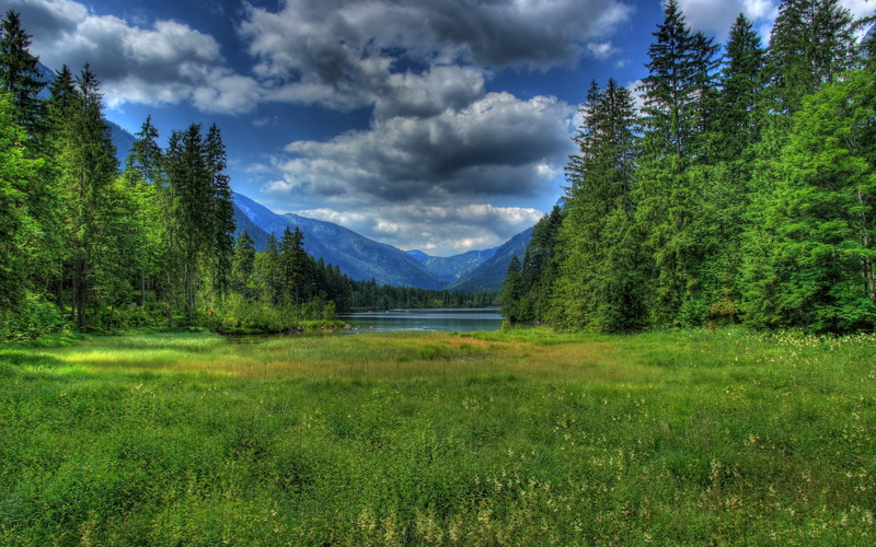 Grass, Forest, Clouds, 2K, Bavaria, Germany, Mountains, Berchtesgaden, Lake