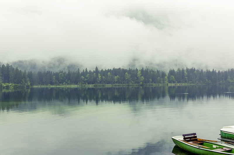 pines, Berchtesgadener Land, 4k, Bavaria, Germany, 8k, 5k, lake, fog, 5K