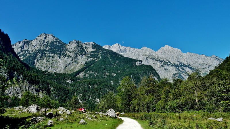view, mountain, mountain peak, pine woodland, watzmannostwand, travel destinations, tranquility, solid, berchtesgaden national park, blue, landscape, massif