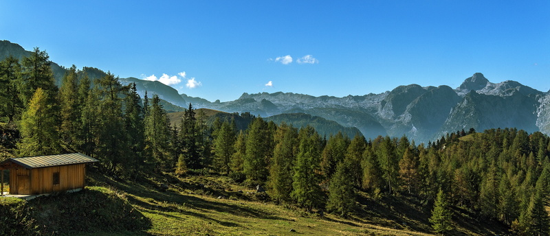 tree, 5K, Blick, jenner, mountain, mountain Peak, near, Oberbayern, landscape, Berchtesgadener Land, Panorama, brown house, top, outdoors, alps, Alpen