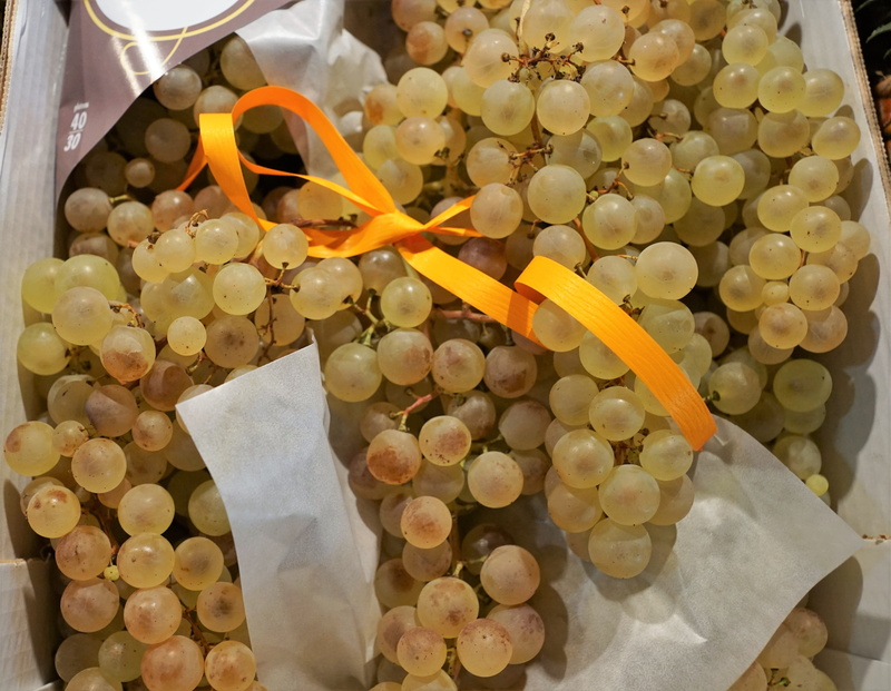 vegan, indoors, food, nature, vineyard, red grapes, harvest, container, retail, feed, yellow grapes, juicy, food and drink, bio, collection, gasthof, vines stock