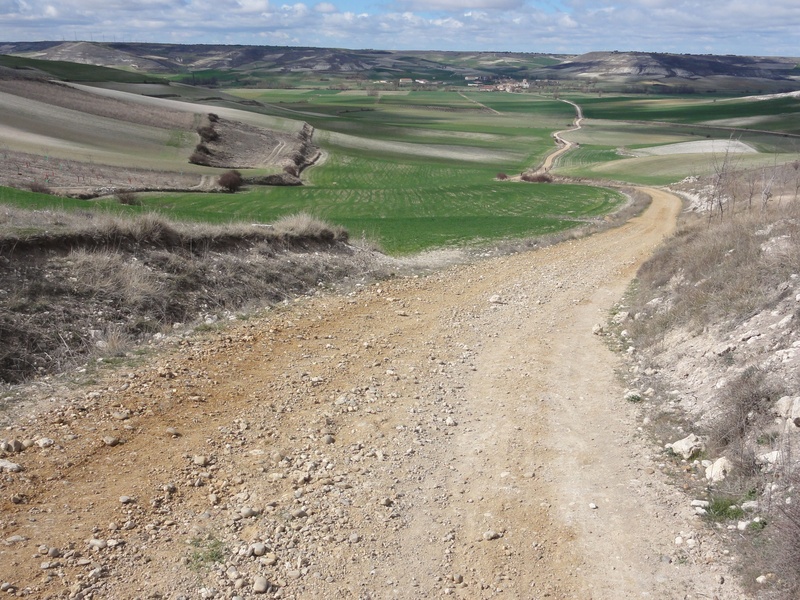 trail, empty, the way forward, direction, grass, 2K, nature, remote, day, dirt, no people, scenics - nature, daytime, environment, landscape, road, land