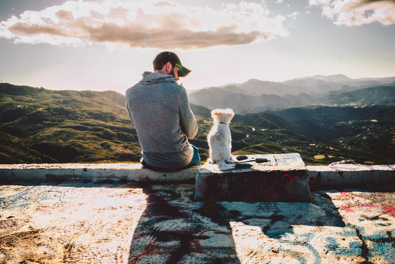 cliff, cloud - sky, scenics - nature, sunlight, environment, sitting, mountain, casual clothing, outdoors, activity, dog, mountain range, art and craft