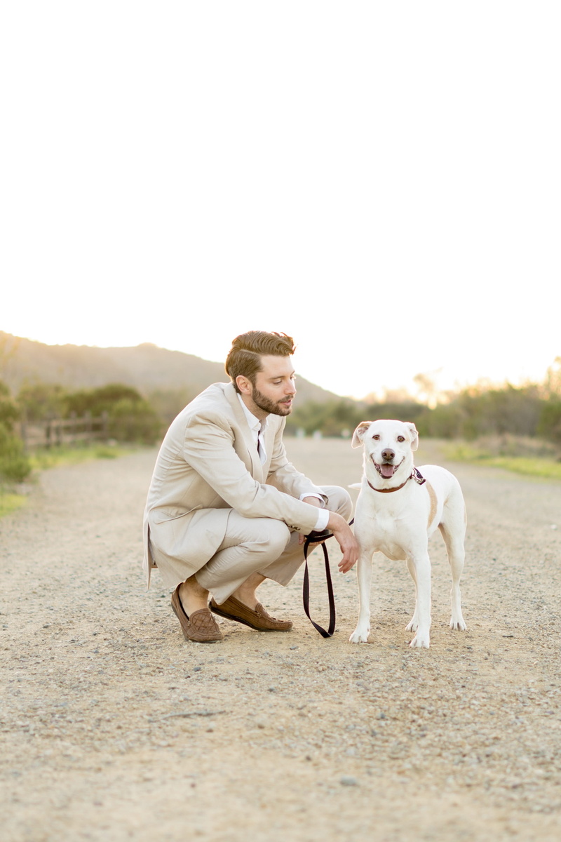 real people, full length, outdoors, vertebrate, dog, dirt, copy space, sky, gray, man, road, jacket, pets, suit, one person, wearing, sitting, canine, dog walk