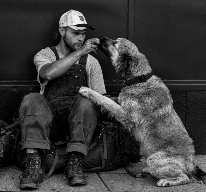 casual, young, one animal, pet owner, canine, pets, man, large, jumpsuit, dog, overall, caucasian, urban, real people, person, 5K, scale, homeless, beside
