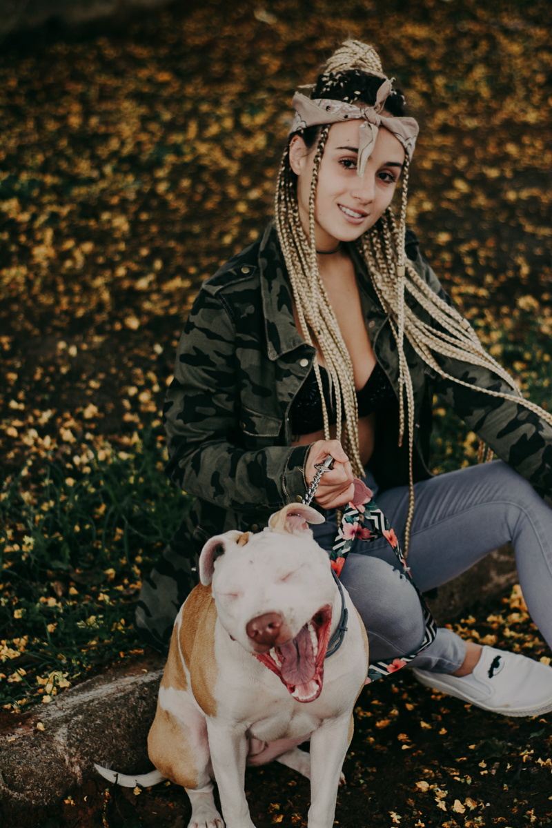 female, pet, sitting, canine, short, gray, leisure activity, portrait, pit, young women, young adult, lead, pets, bull, real people, outdoors, woman, camo