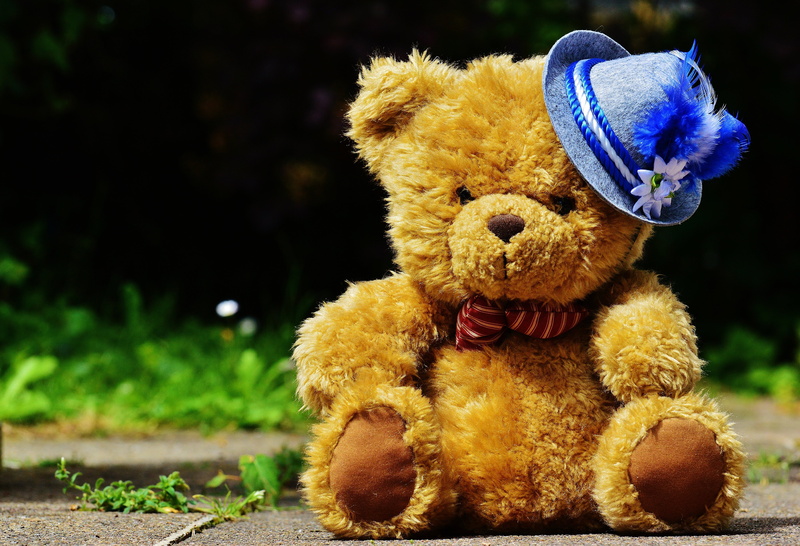 bavarian, 5K, folk festival, oktoberfest, toy, teddy, outdoors, yellow, hat, representation, trachtenhut, floor, tradition, plush, plant, brown, munich