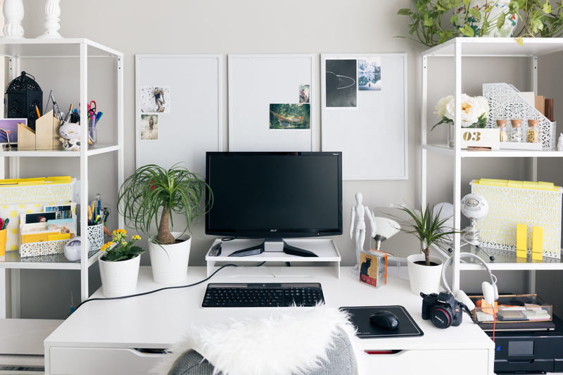 monitor, plant, indoors, screen, wooden, desktop pc, home office, desk, business, camera, potted plant, computer monitor, room, technology, furniture, shelf