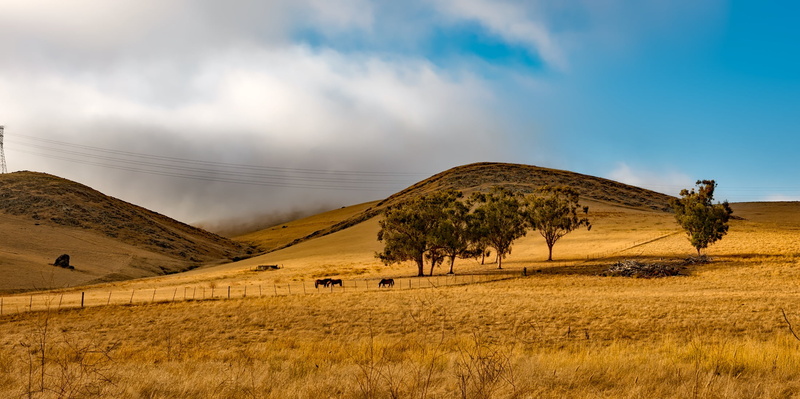 beautiful, agriculture, pastoral, land, ranch, hill, hills, nature, rolling, semi-arid, countryside, california, travel destinations, scenic, sky, non-urban scene