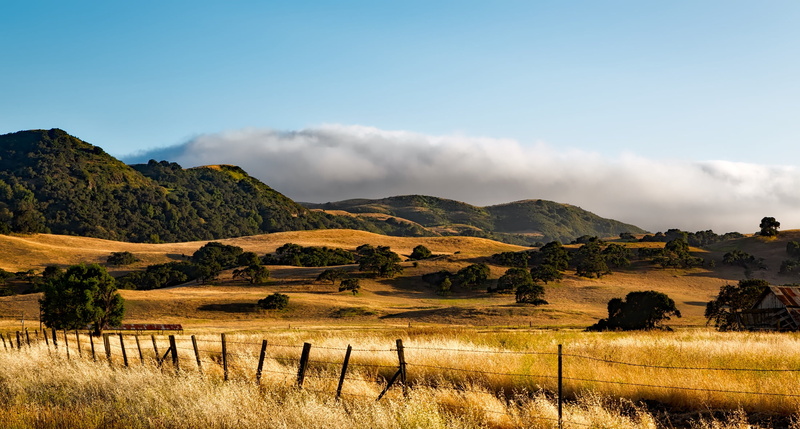 scenics, green, woods, farm, black, field, fence, summer, california, rural, photography, environment, countryside, rural Scene, 1080P, hdr, outdoors