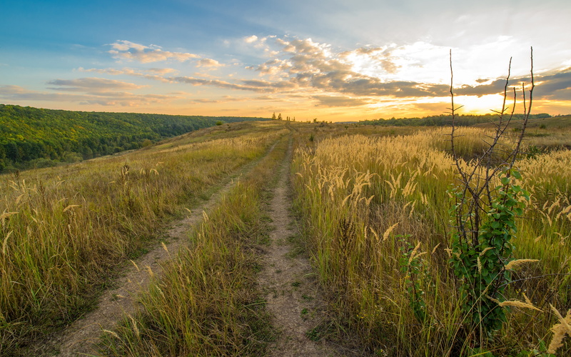 nature, 4K, growth, road, photography, landscape, clouds, plant, redridgemountains, field, land, tranquility, agriculture, dirtroads, fields, sky, tranquil scene