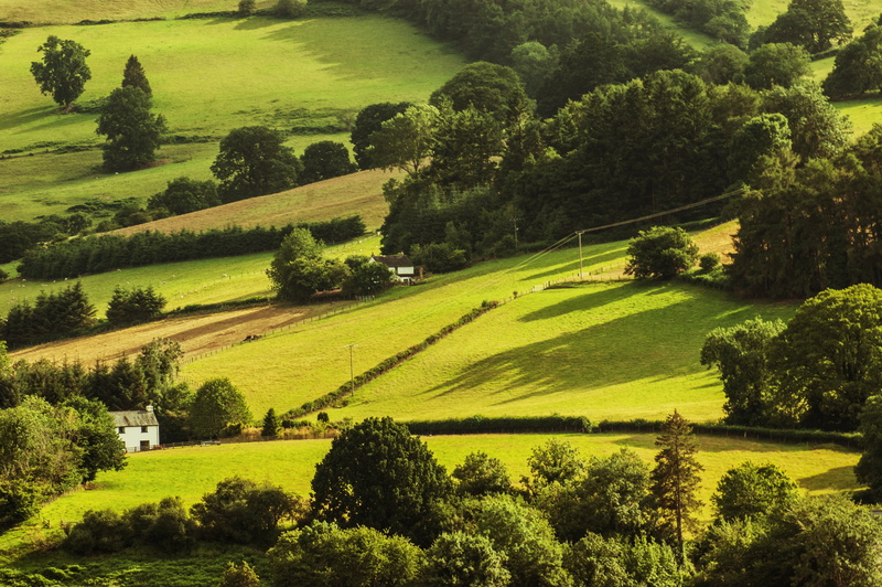 brecon  beacons, field, agriculture, outdoors, rural Scene, uk, scenics, surrounded, tree, grass field, meadow, grass, garden, green, trees, summer, green Color