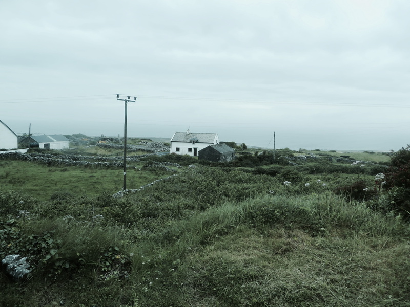 farm, day, outdoors, 4K, environment, field, land, inishmoor, architecture, built structure, transportation, rural, beauty in nature, irish, mode of transportation