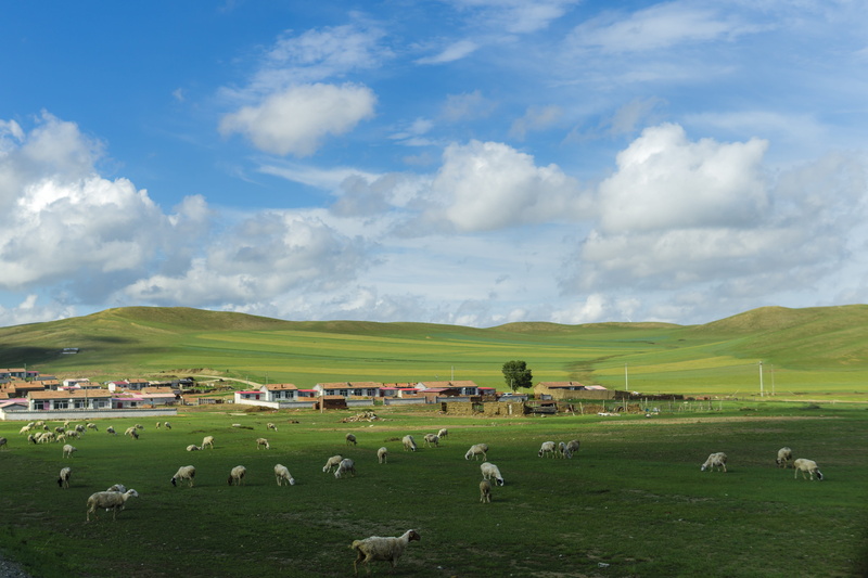 beautiful, shadow, pastoral, domestic animals, prairie, grazing, cloud - sky, weather, sky, wind power generation, tourism, nobody, vertebrate, land, environment