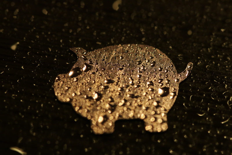 save, sparkle, gold, day, purity, close-up, raindrop, leaf, nature, rain, 5K, lucky charm, plant part, no people, drop, luxury, pig, high angle view, artificial