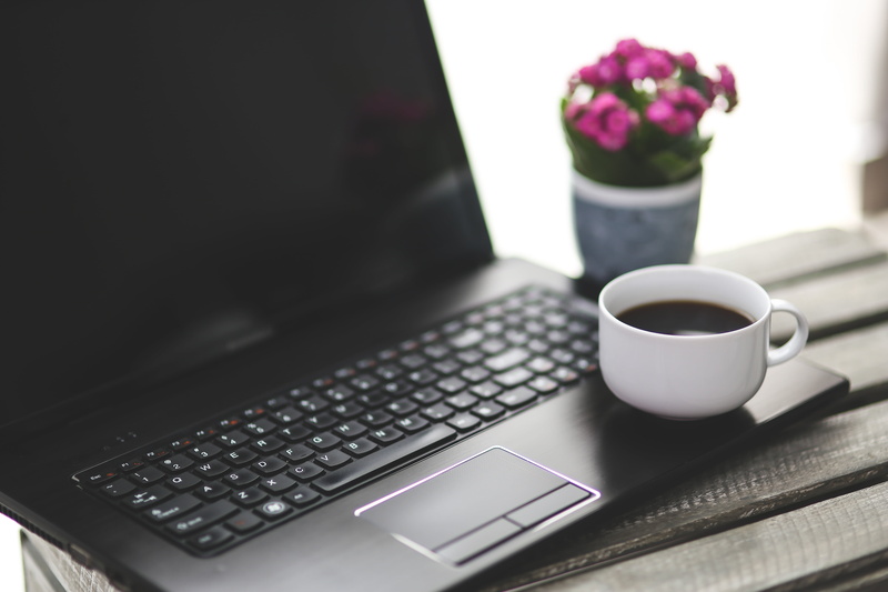 black, teacup, china, cup, notebook, indoors, flowering plant, food and drink, plant, mug, drink, working, 5K, white, computer, connection, coffe time