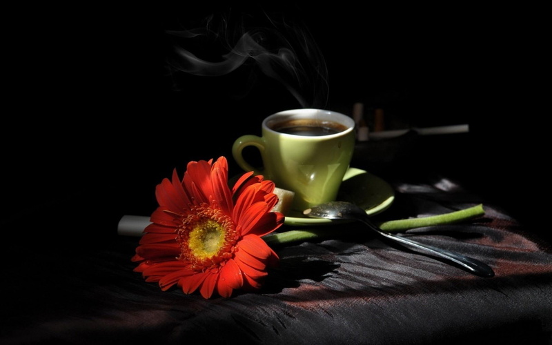 cup, green, red, gerbera, spoon, mug, petaled, photography, coffe, ceramic, coffee, 1080P, 1920x1200, flower, multi