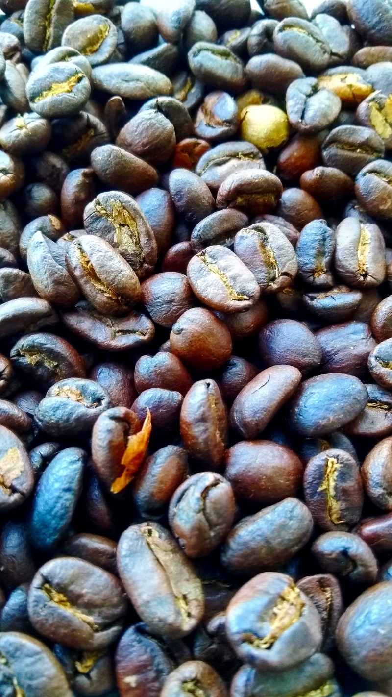 variation, natural, choice, no people, caffeine, 4K, black, day, full frame, luwak, textured, close-up, coffee, black coffee, batch, kopi luwak, freshness