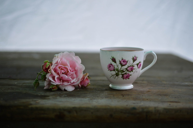 ceramic, tea cup, hot, flowering plant, beauty in nature, white, freshness, plant, still life, no people, cup, selective focus, tea, coffee, close-up, nature