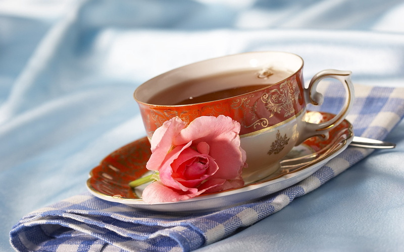 mug, refreshment, close-up, freshness, nature, sweet Food, relaxation, backgrounds, tea Cup, no People, flower, romance, rose - Flower, pink, beauty in nature