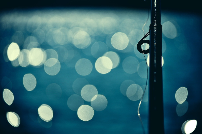 focus on foreground, illuminated, lighting equipment, light, blue, indoors, bokeh, nightlife, close-up, arts culture and entertainment, no people, still life