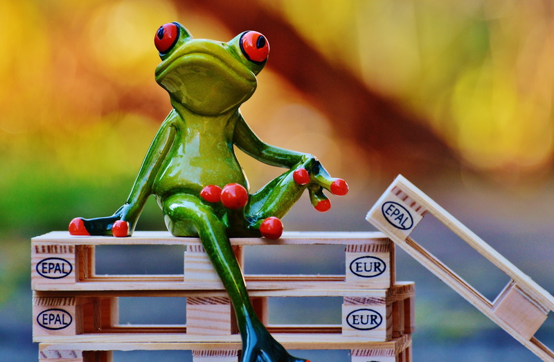 art and craft, vegetable, representation, funny, toy, fruit, Sit, 5K, red, no people, still life, figurine, day, text, green color, wooden pallets, communication