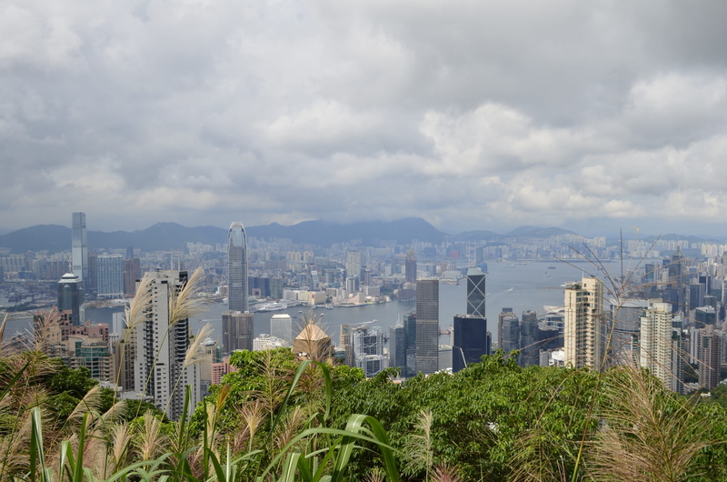 light, building exterior, built structure, tree, hong kong skyline, metropolis, tower, skyscraper, landscape, growth, Skyline, business, cloud - sky, crowd