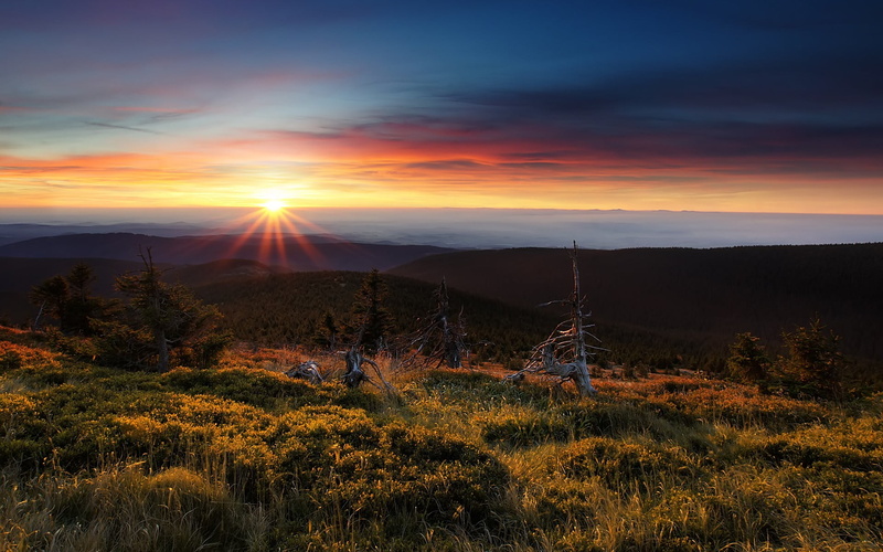 tranquility, tranquil scene, Czech Republic, growth, nature, outdoors, orange color, Hrubý Jeseník, sun, rising, view, landscape, cloud - sky, 1080P, sunset