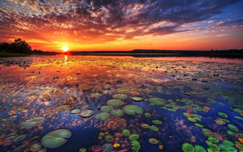  sunset, hd, landscape, clouds, chiang, lake, 2K, leaves, lotus, thailand, colorful, tambon, reflection, haeo