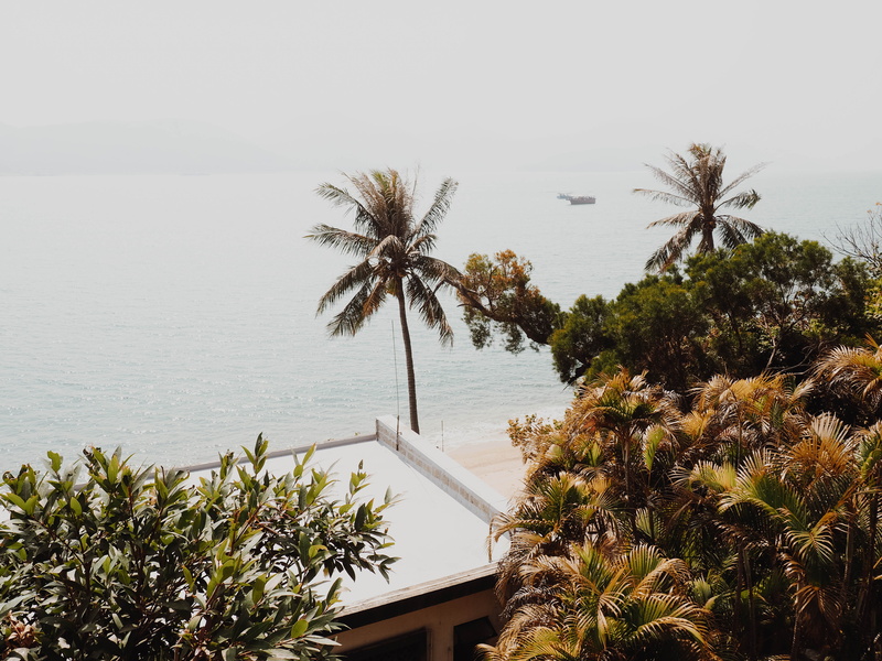trees, palm tree, island, coconut palm tree, tropical tree, asia, tranquility, sea, scenics - nature, beach, water, tropical, day, tropical climate, tranquil scene