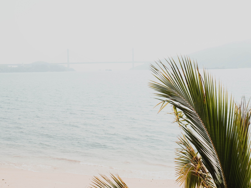 no people, outdoors, tranquility, island, ocean, water, tropical climate, hong kong, day, clear sky, asia, tropical, tranquil scene, plant, land, beauty in nature