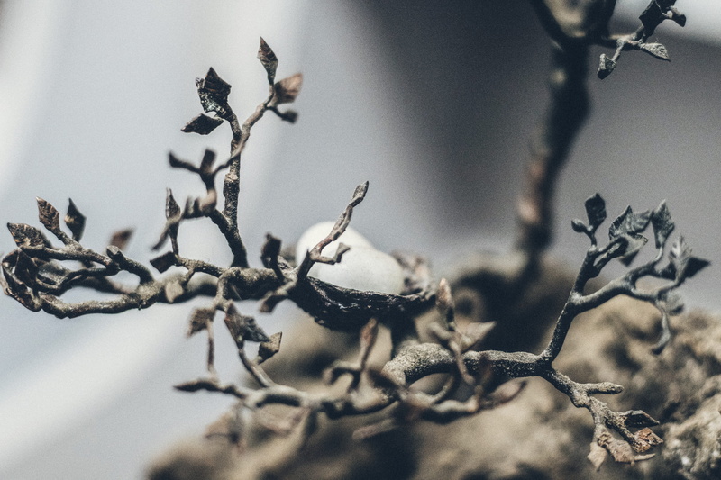 metal, selective focus, day, food, beauty in nature, dead plant, plant, branch, craft, plant stem, design, close-up, nature, hong kong, fruit, twig, detail