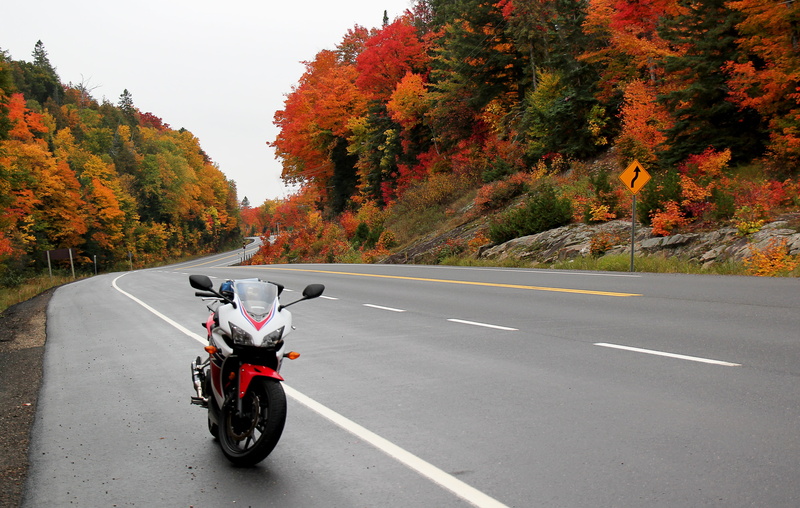 bicycle, plant, road marking, transportation, transportation system, land vehicle, algonquin park, ontario, day, fall foliage, drive, nature, honda cbr500r