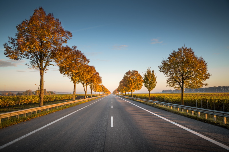 symbol, diminishing perspective, nature, trees, tranquil scene, no people, the way forward, marking, tranquility, autumn, country road, vanishing point